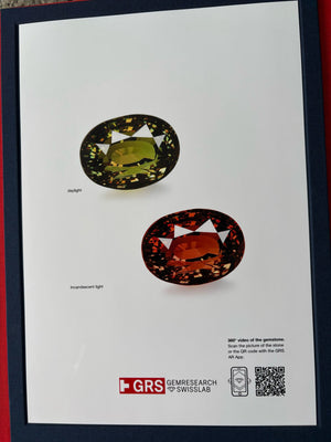 24.45ct Der Kat Florence Chamäleon Alexandrit Ring mit D Flawless Diamanten, eingefasst in 18 Karat Gold oder Platin