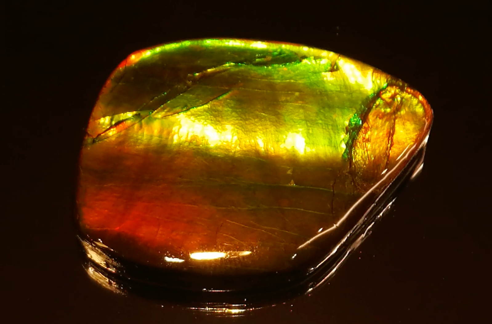 49.23ct Kanadischer Natur Ammolit Halskette mit D Flawless Diamanten, eingefasst in 18 Karat Gelbgold
