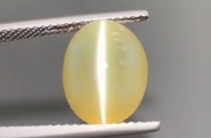 7.67ct Milk & Honey Katzenauge Ceylon Chrysoberyll Ring mit D Flawless Diamanten, eingefasst in 18 Karat Gelbgold